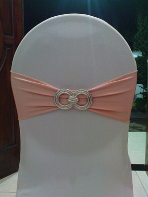 sashes spandex pink 300 400