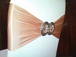 sashes spandex brown 300 225
